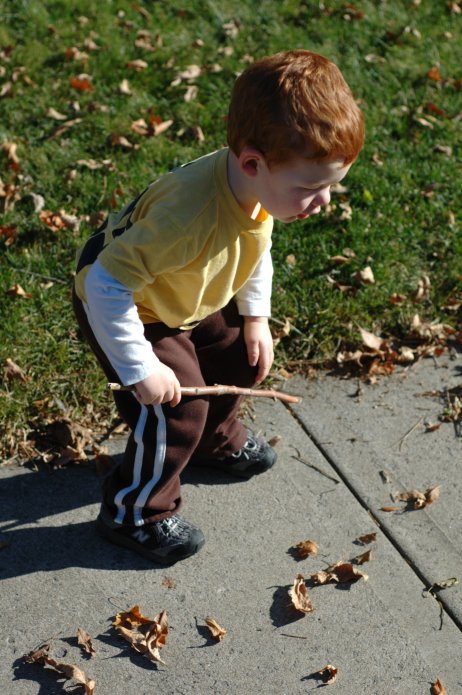 4109812292_a51b8a3a91_o