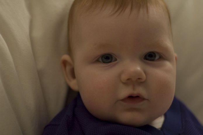 2242489773_066a52587a_o