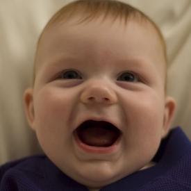 2243280848_88d412f43f_o