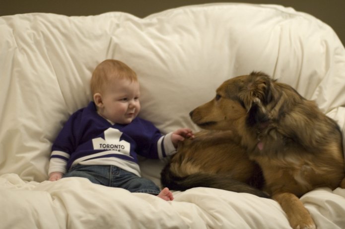 2243281738_37b8956d71_o