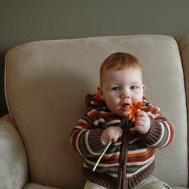 2331066963_0997d4626c_o