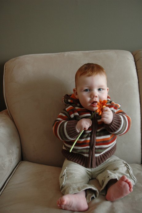 2331066963_0997d4626c_o