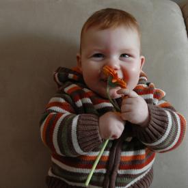 2331067693_a164fc0a51_o