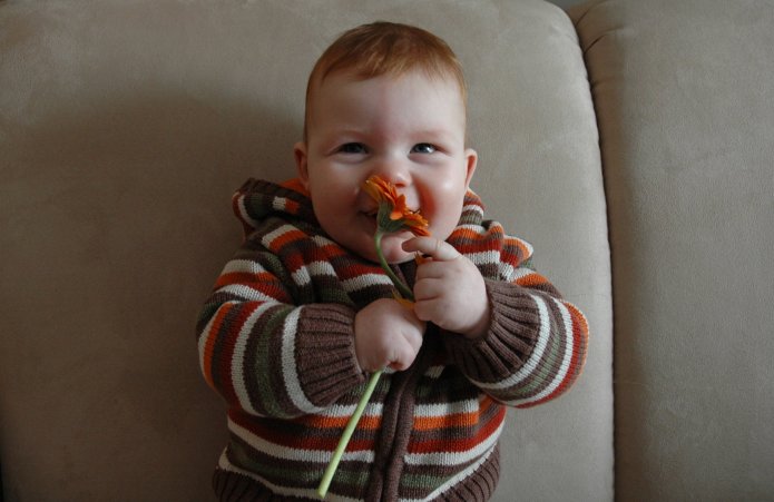 2331067693_a164fc0a51_o