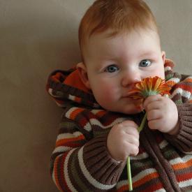 2331068383_630586741a_o