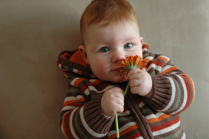 2331068383_630586741a_o