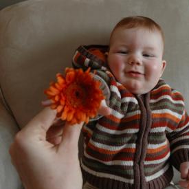 2331070899_faca0dde37_o