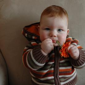 2331071531_0ee93e9743_o