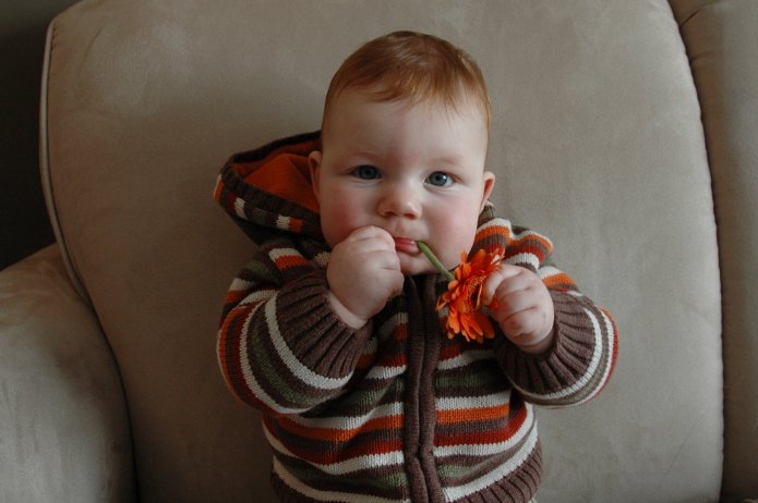 2331071531_0ee93e9743_o