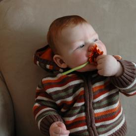 2331072283_5b9d616877_o