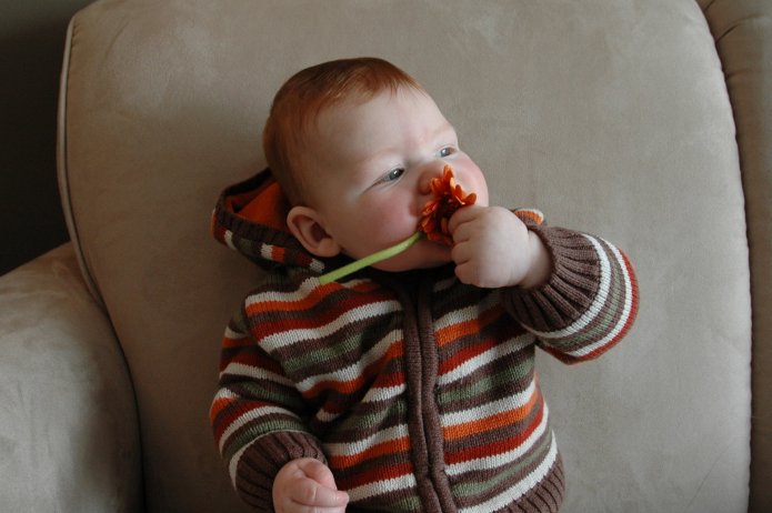 2331072283_5b9d616877_o