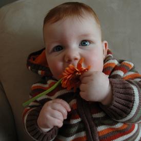 2331073119_3693431763_o