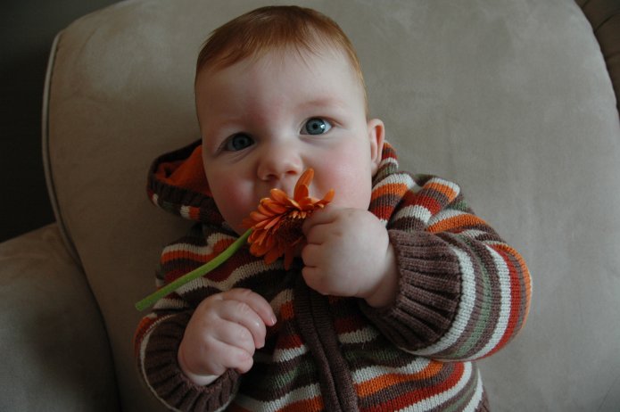 2331073119_3693431763_o