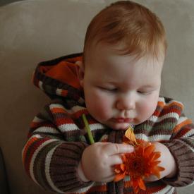 2331903862_59ff4d54ca_o