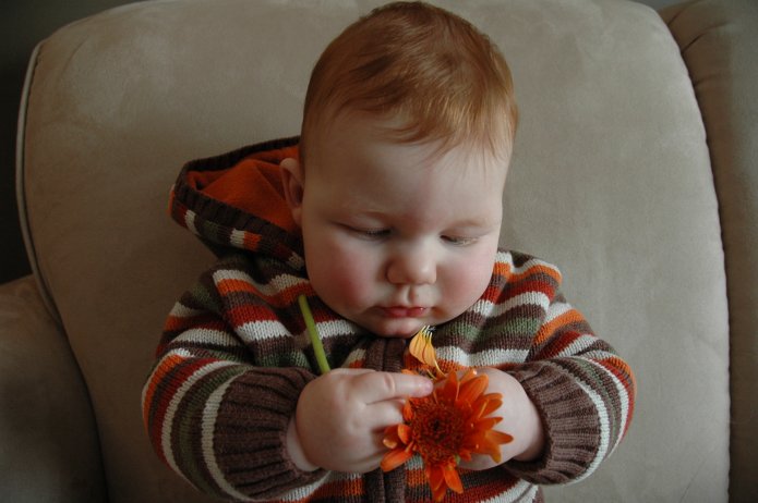 2331903862_59ff4d54ca_o