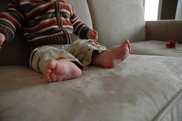 2331904630_67587191eb_o