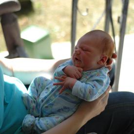 1352119183_5a16c4248b_o