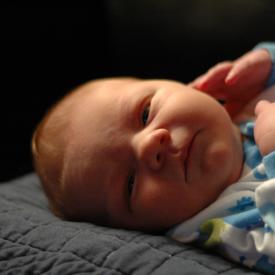 1352155031_670abb3660_o