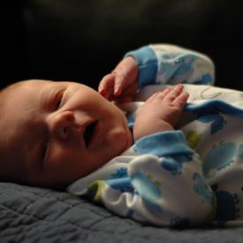 1352160455_9057e38256_o