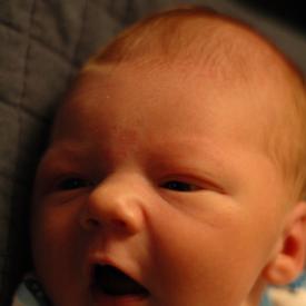 1352192699_ada7278acb_o