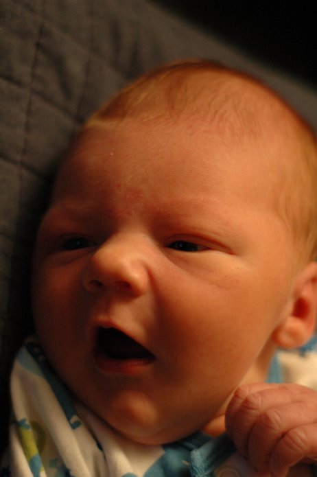 1352192699_ada7278acb_o