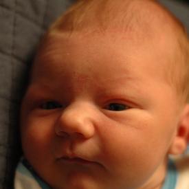 1352197655_25d926f6d2_o