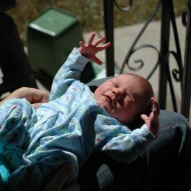 1353003856_c86e8d7536_o