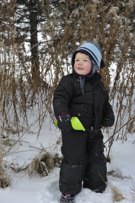 4256820323_b4317e6a42_o