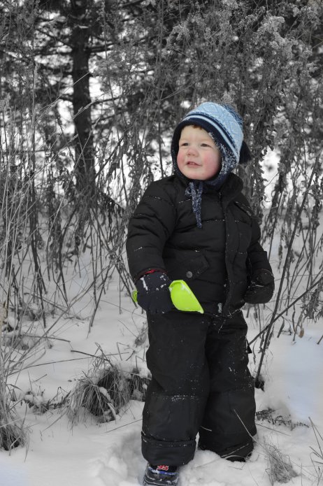 4256821849_bef415cfb7_o