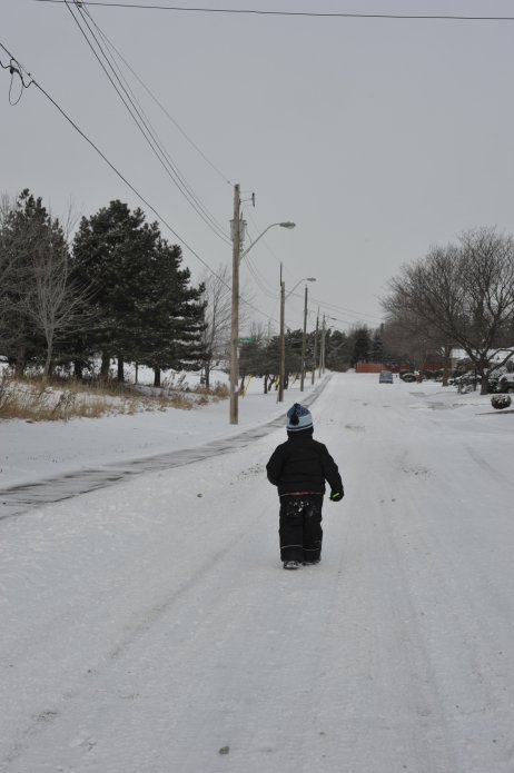 4256825789_cd5a85fbfa_o