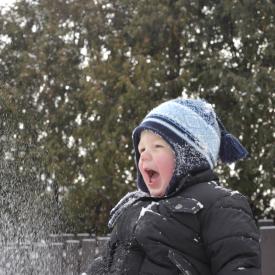 4256840957_f1880a69eb_o