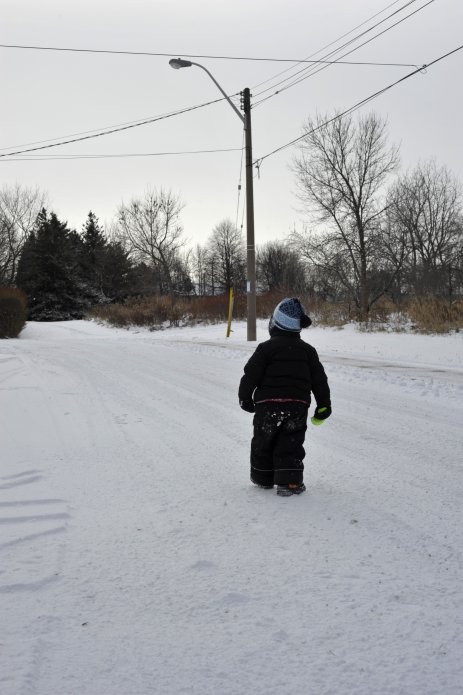 4257583214_08bdc9c446_o