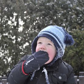 4257592538_efbee314e2_o