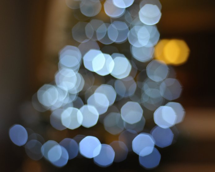 4172684902_a31e3a5530_o