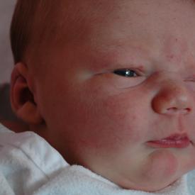 1339679268_dbe2f786b6_o