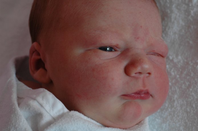 1339679268_dbe2f786b6_o