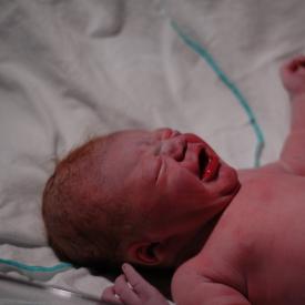 1332803245_9b081c9bc4_o