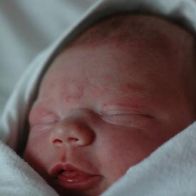 1332817087_56a2792cf9_o