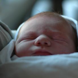 1332858591_db707c8e51_o