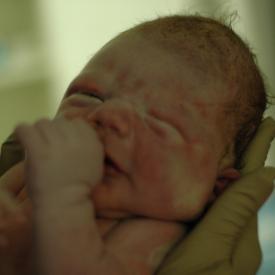 1333684718_4030c867d6_o