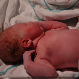 1333693106_75cb9f5538_o