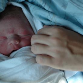 1333698970_1d361cfa0a_o