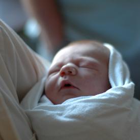 1333732478_63bc29fa70_o