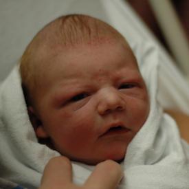 1333759534_540b5ae490_o