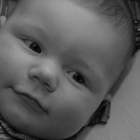 2211955513_d18a187908_o