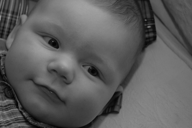 2211955513_d18a187908_o