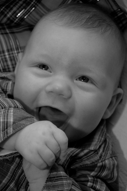 2211955579_fa74fd341a_o