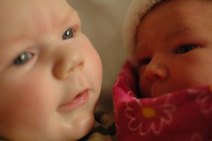 2091076299_9373a77d80_o