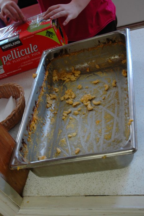 3826296389_9771f7d002_o