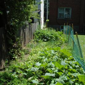 3827097714_923f5a735e_o